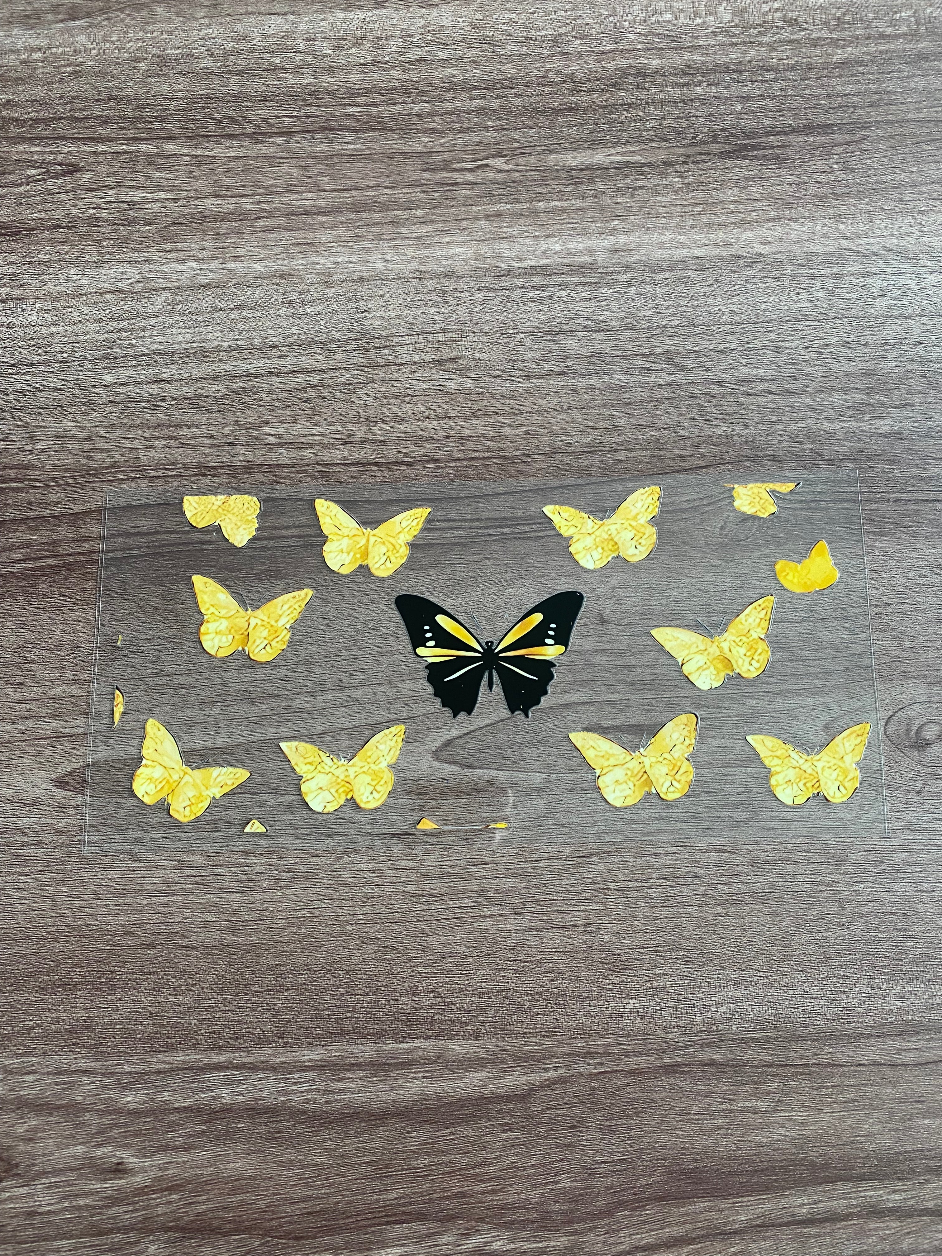 Floral/ Insects Decals