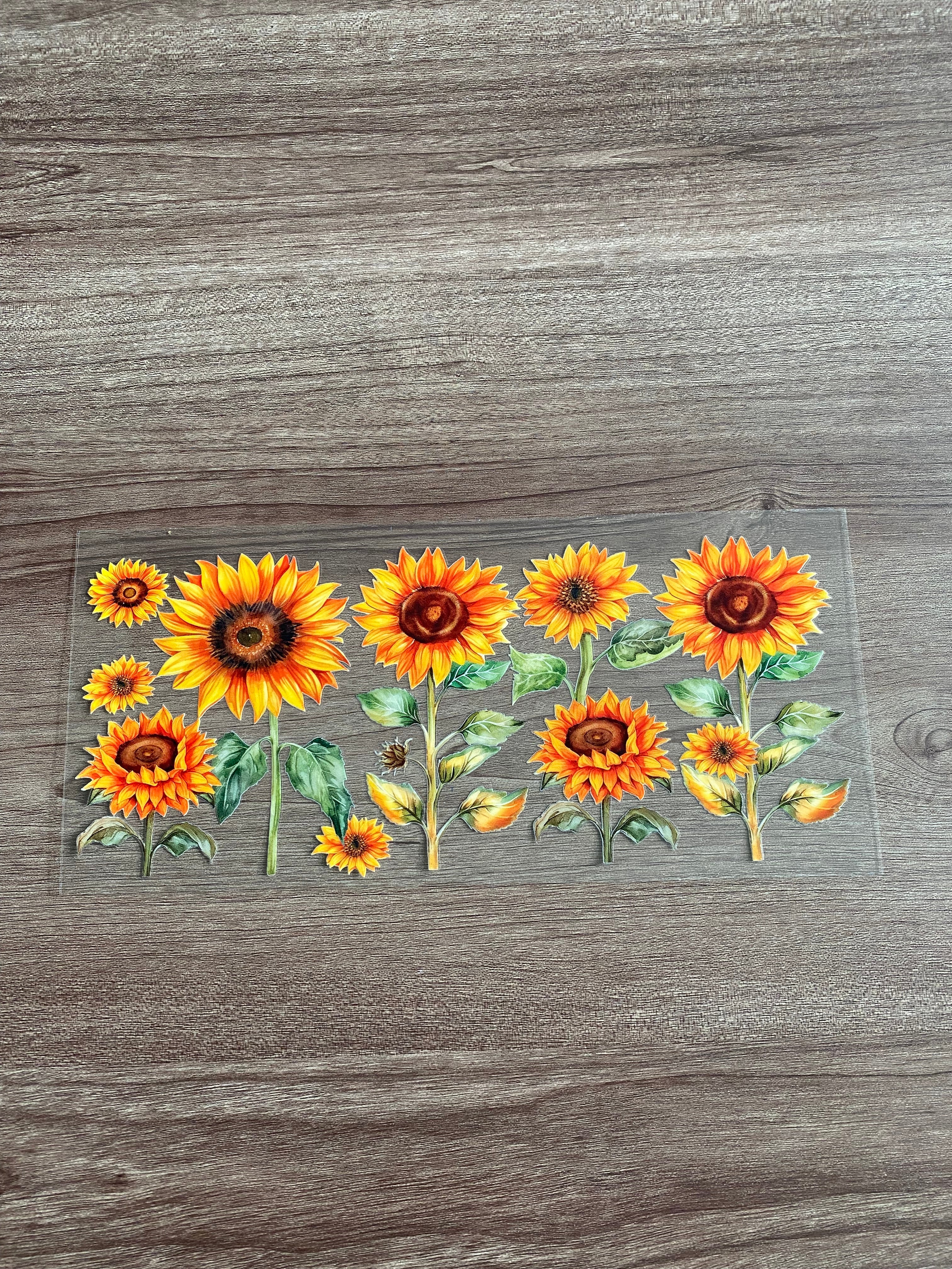 Floral/ Insects Decals