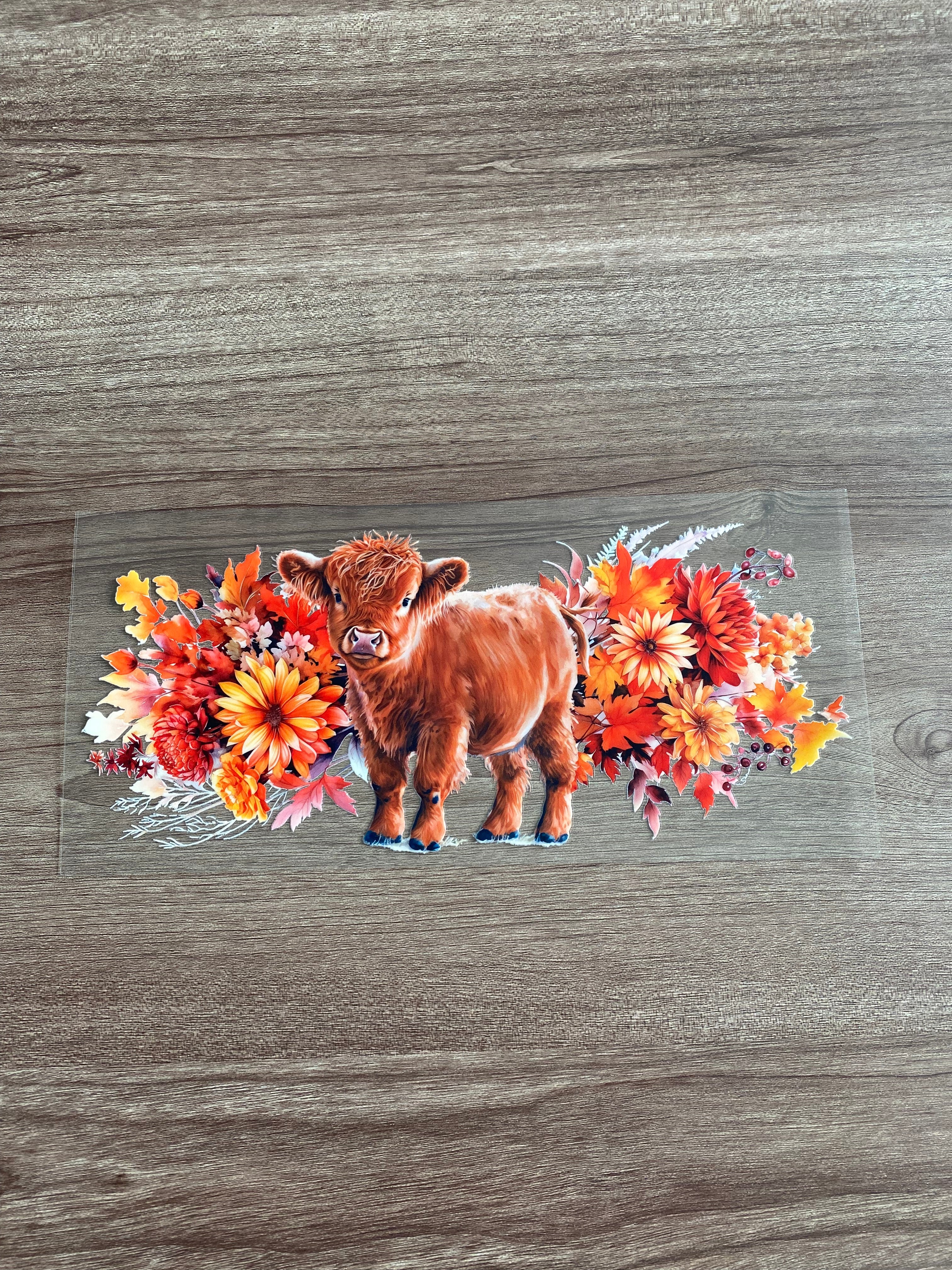 Cow Decals